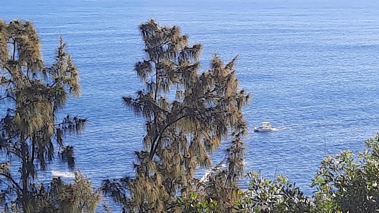 Chambre Vue Sur Mer Entre Grande Anse Et Manapany Petite Île Exterior foto