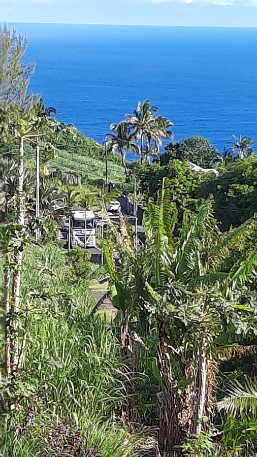 Chambre Vue Sur Mer Entre Grande Anse Et Manapany Petite Île Exterior foto